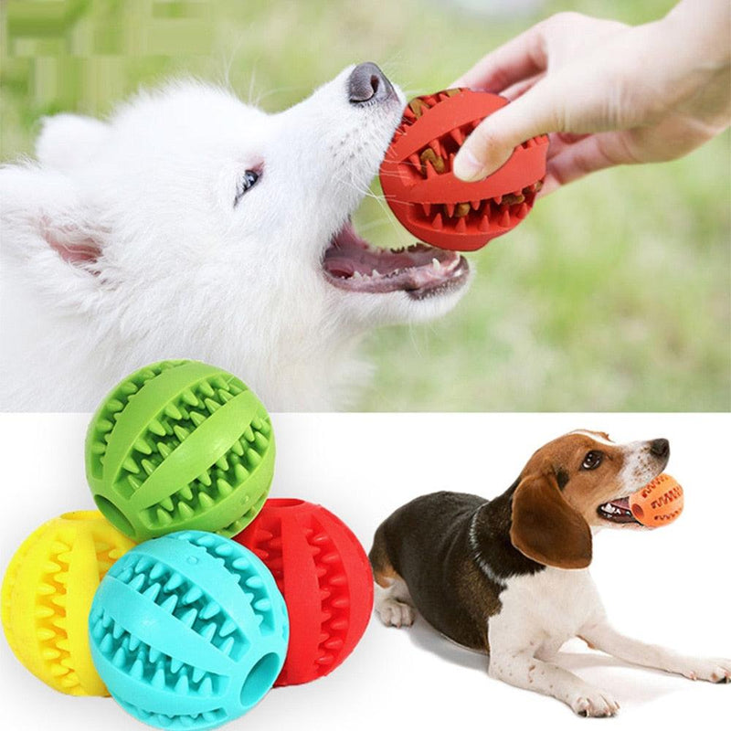 Bolinha de Borracha com Porta Petisco para Pets - Inspira Magazine