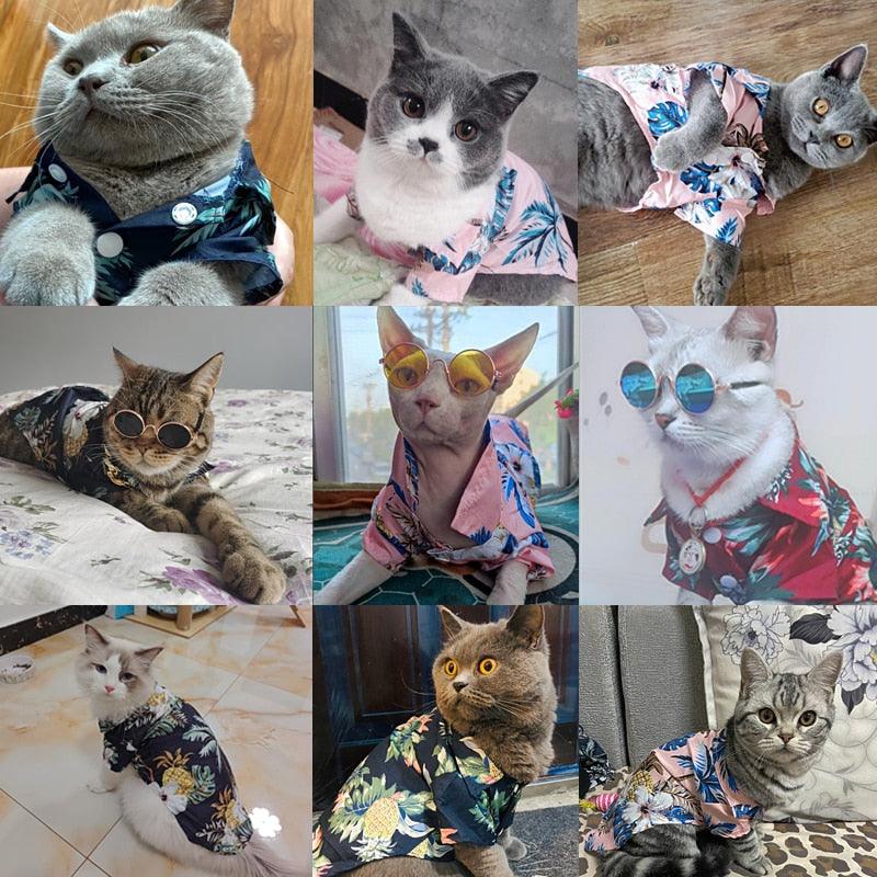 Camisa Verão para pets - Inspira Magazine