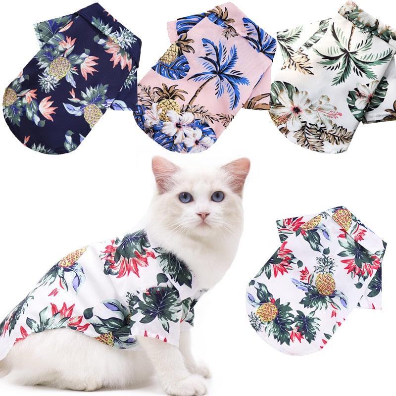 Camisa Verão para pets - Inspira Magazine